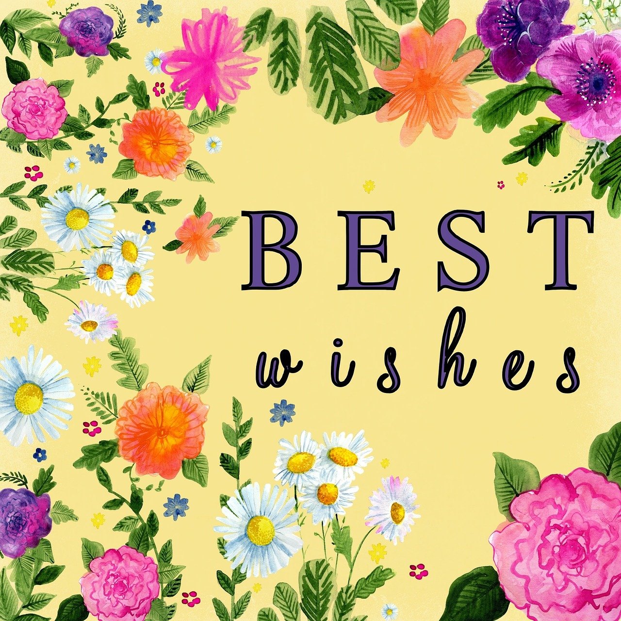 Best Wishes Yellow Flower · Free image on Pixabay Best Hotel In Belgia